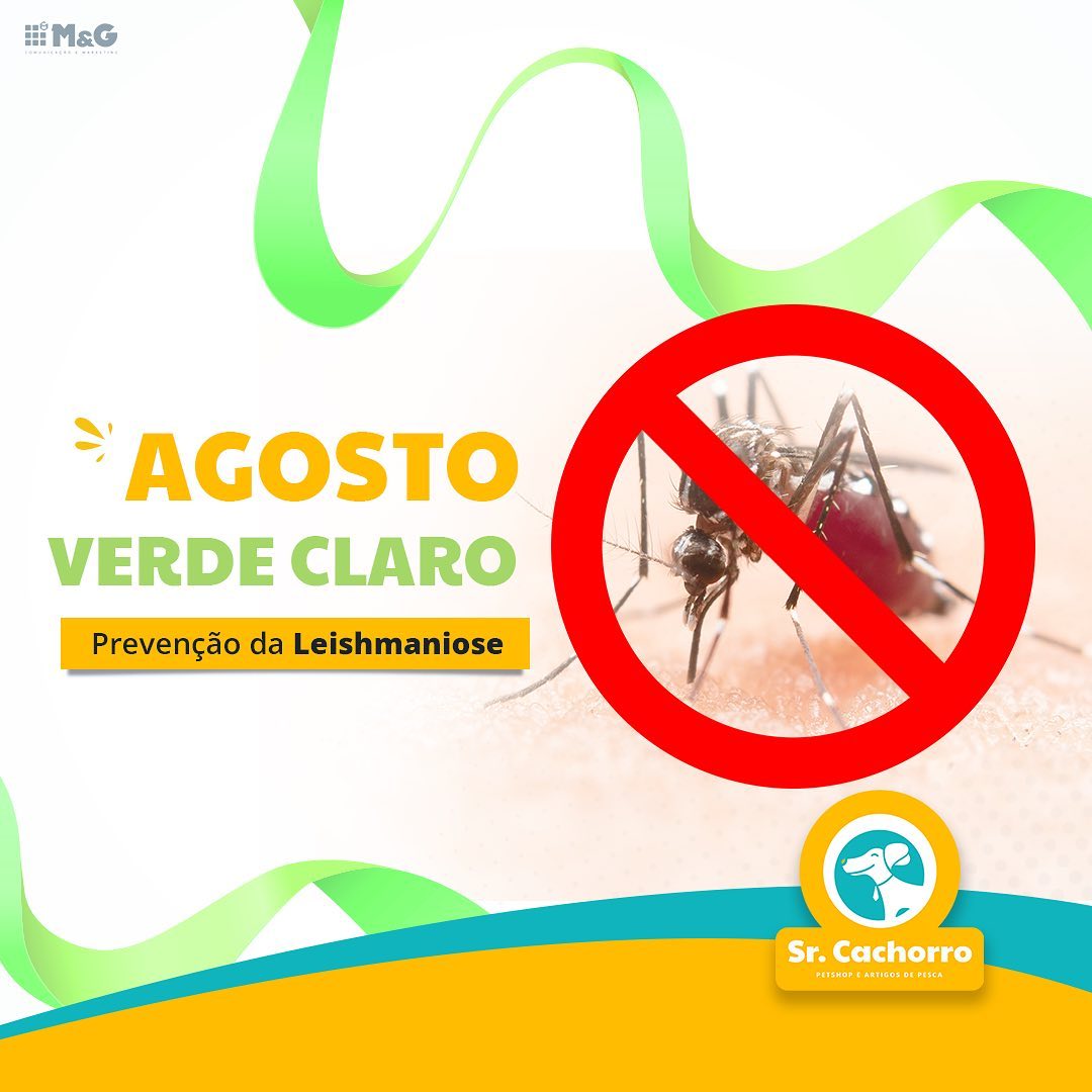 AgostoVerdeClaro