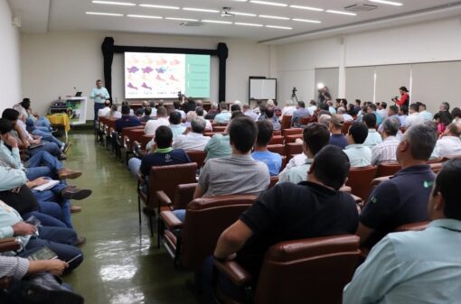 16f12351-cea2-44e6-a421-2dc2bb5b7429-510x337