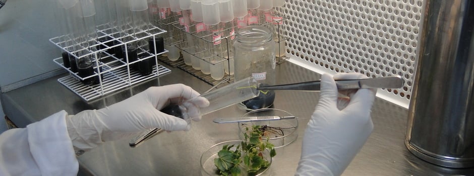 DSC06949_-_Laboratorio_Biotecnologia