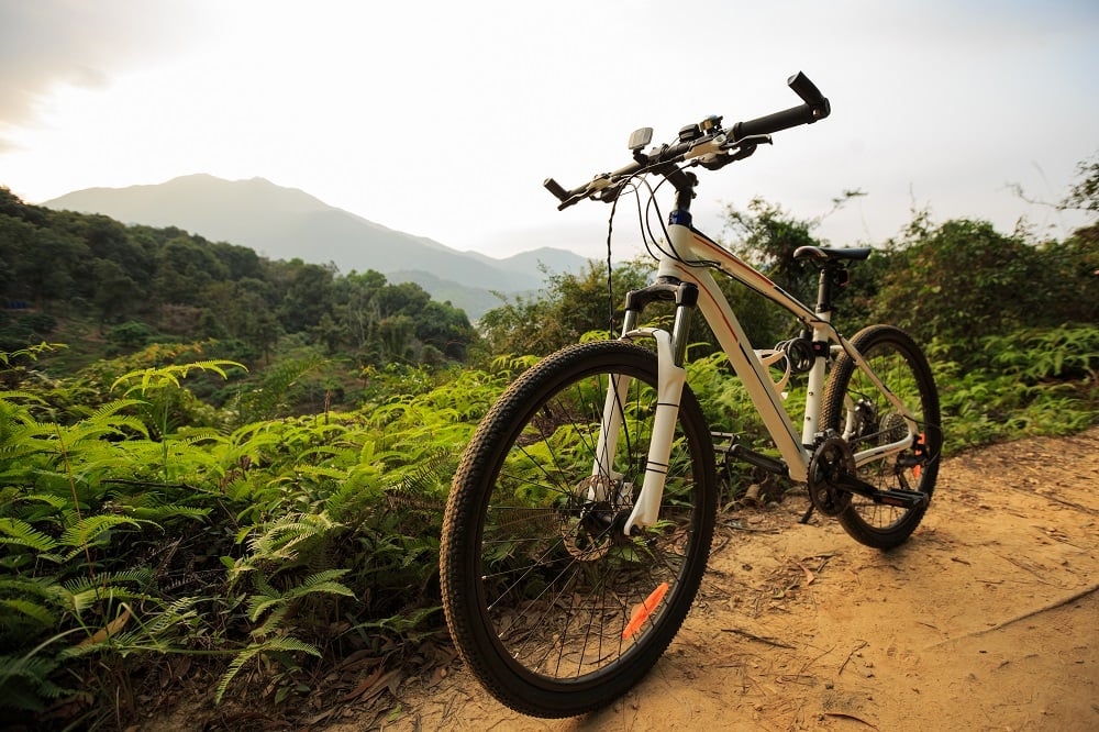 riding mountain bike on moutnain forest trail