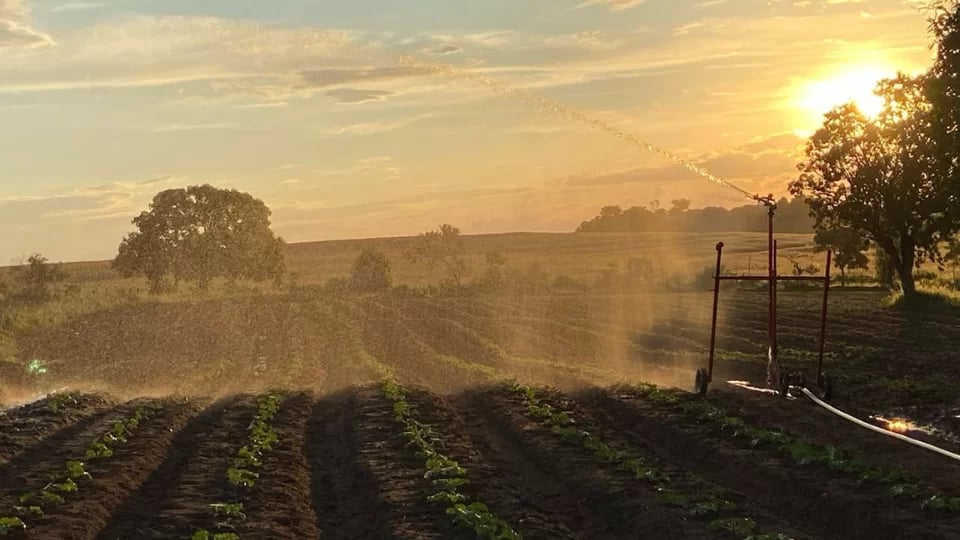 O-que-e-La-Nina-agro-295