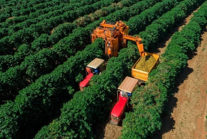 coffee-cafef-449d26c677966d