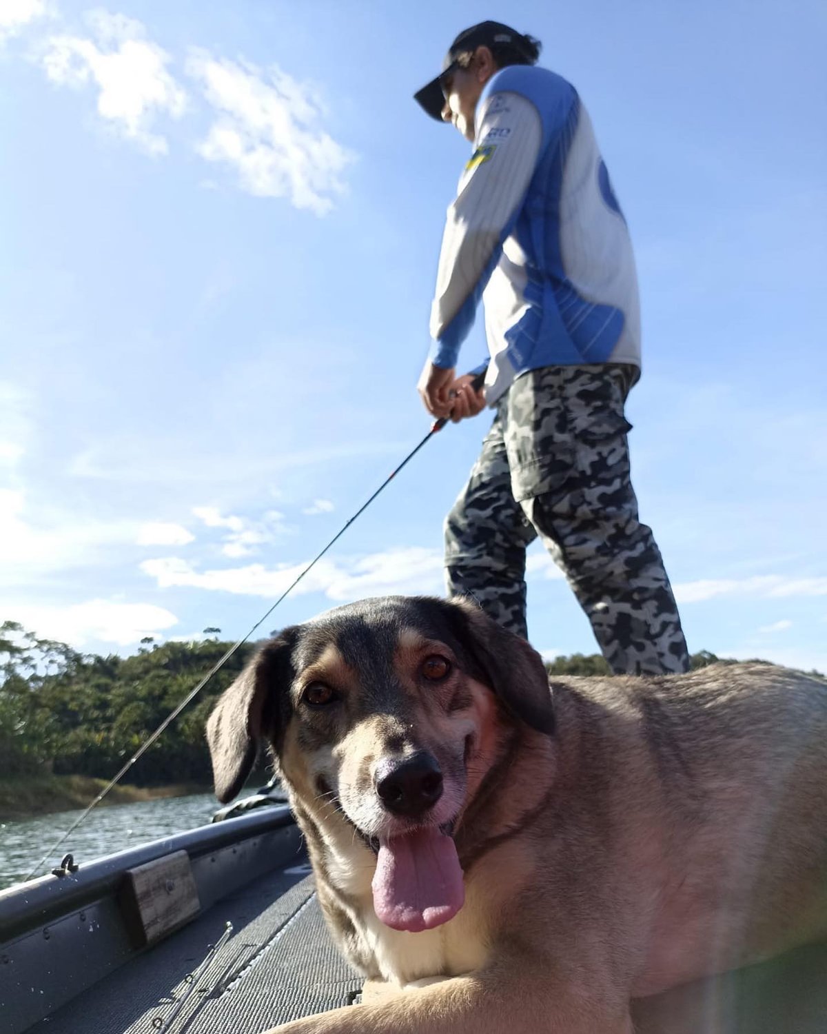 PescaSrCachorro