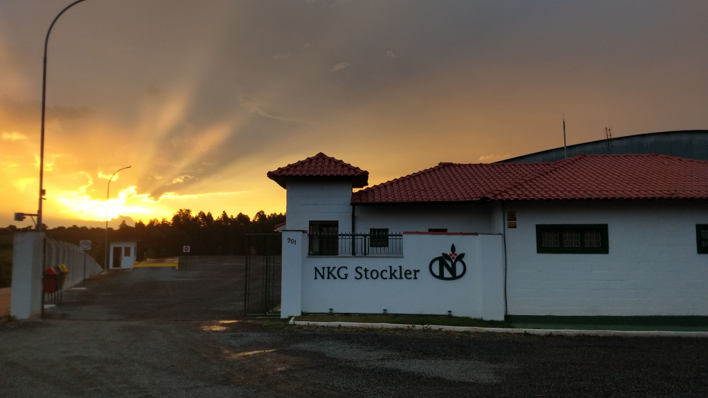 4.-stockler-Muzambinho-1024x576