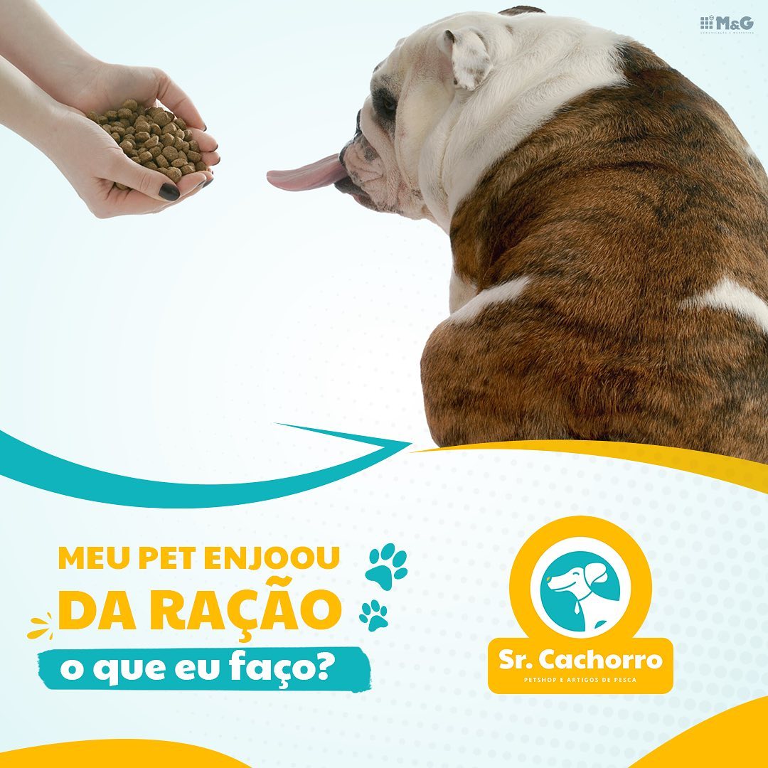 SrCachoro10062200