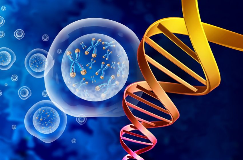 doencas-raras-genetica-dna-850x560