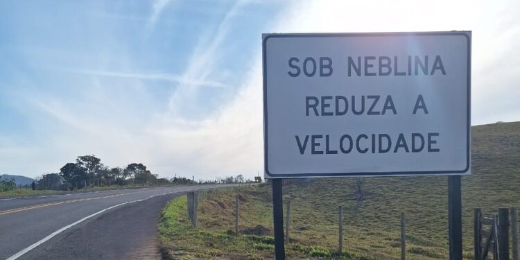 WhatsApp-Image-2024-08-15-at-15.43.44-750x375