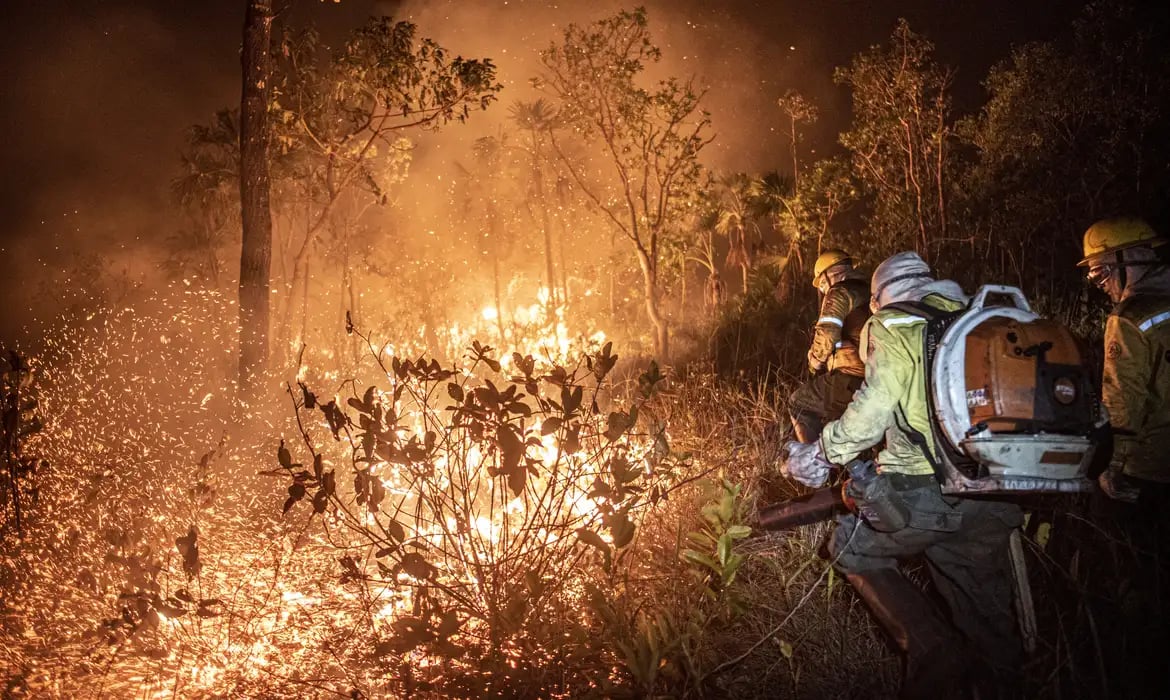 queimada_incendio_fogo_83