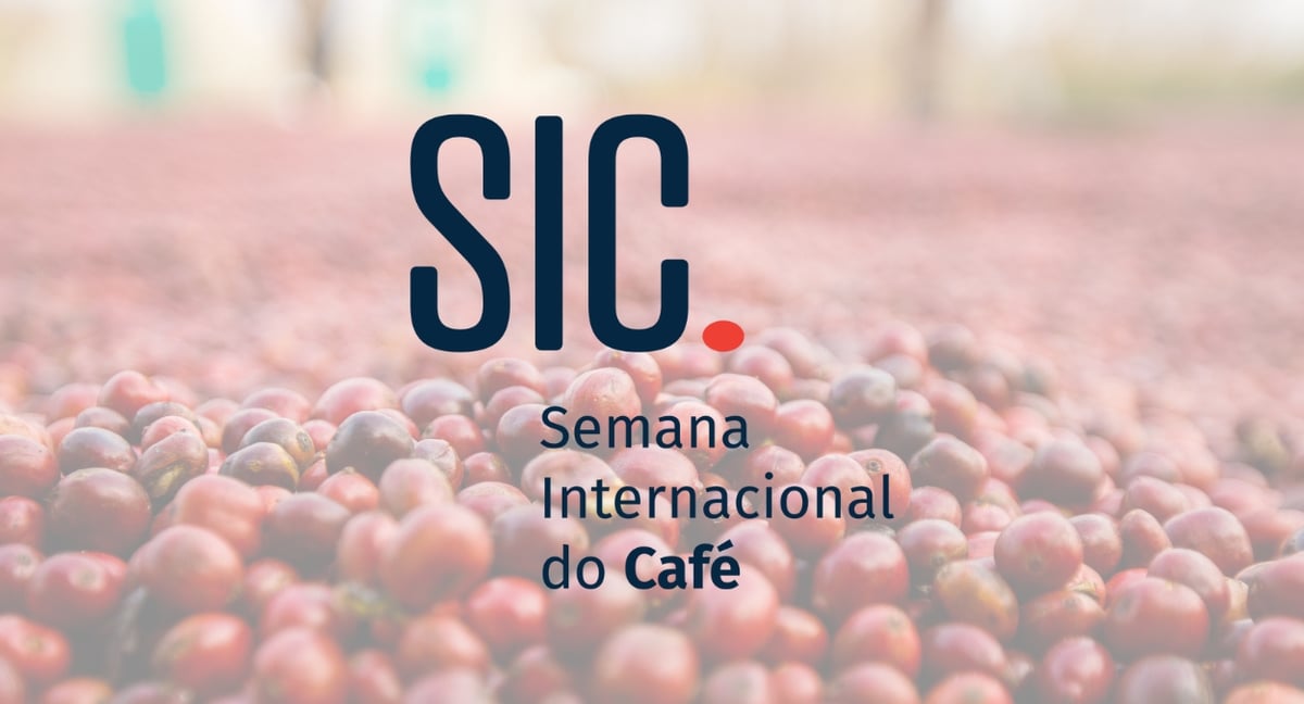 xr:d:DAFtsP3XIkY:207,j:4499502955089373805,t:23102317