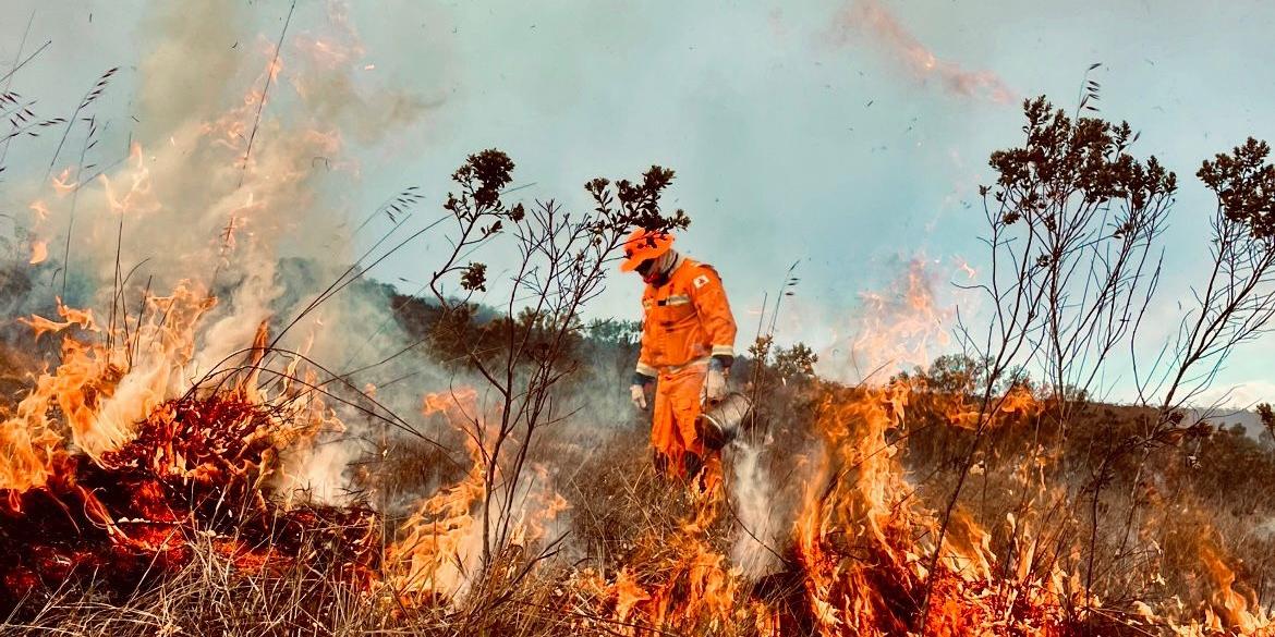 fogo-bombeiros-queimadas-3468