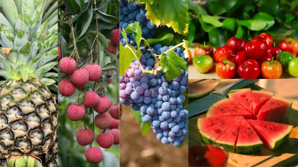 frutas-2385