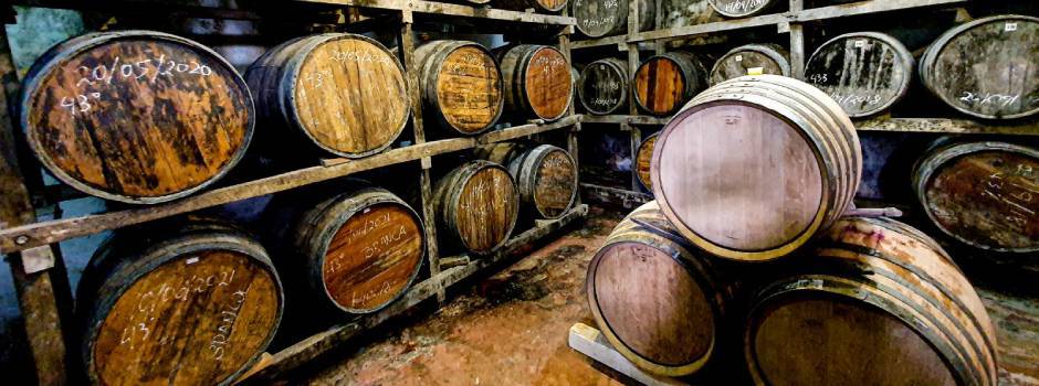 credito_diego-vargas-Seapa-MG_(6)