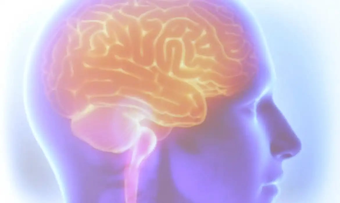 cerebro-5286