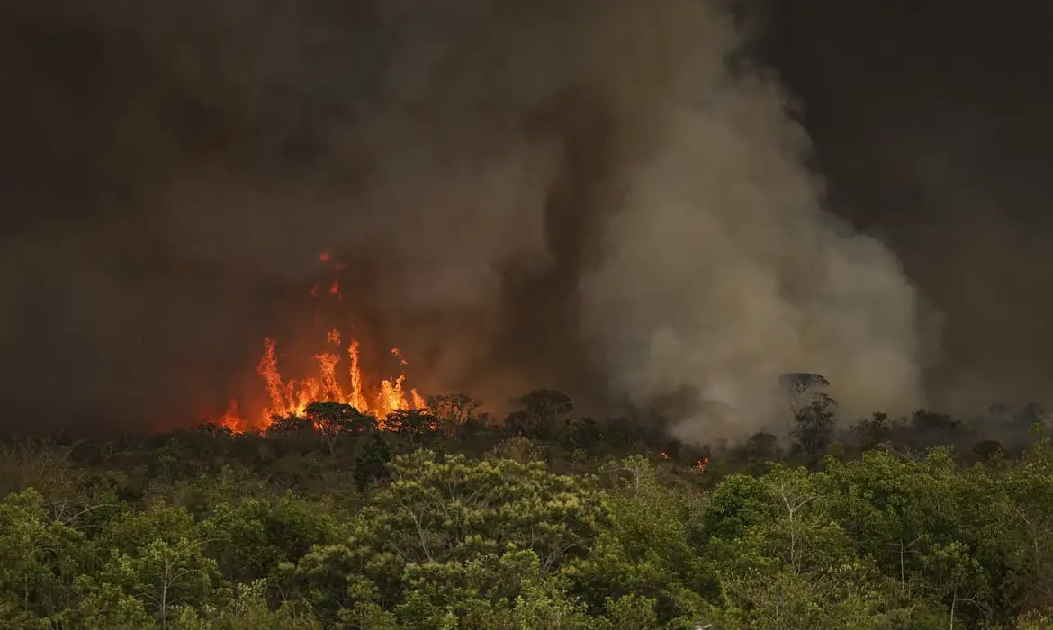 incendio-parque-nacionall_mcamgo_fogo_33