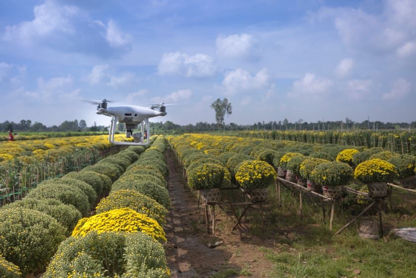 TecnologiaCampo