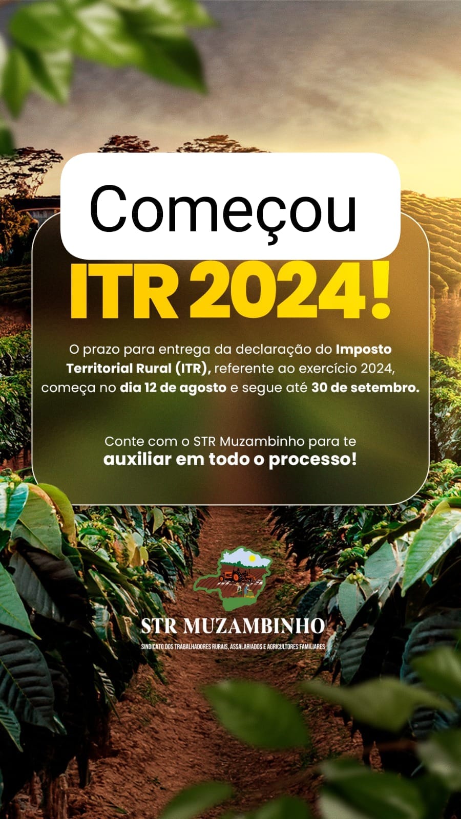 WhatsApp Image 2024-08-13 at 09.02.33