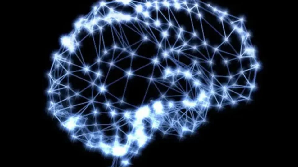 size_960_16_9_cerebro31-960x540