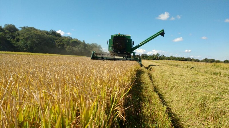 agro_07115445_35127_GD
