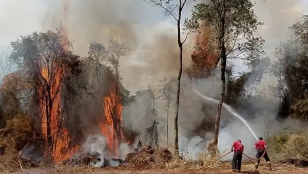 incendios-sao-responsaveis-por-significativas-emissoes-de-monoxido-de-carbono-na-atmosfera-7d65144c-d698-40a8-99d0-8c7c44cb0233.medium