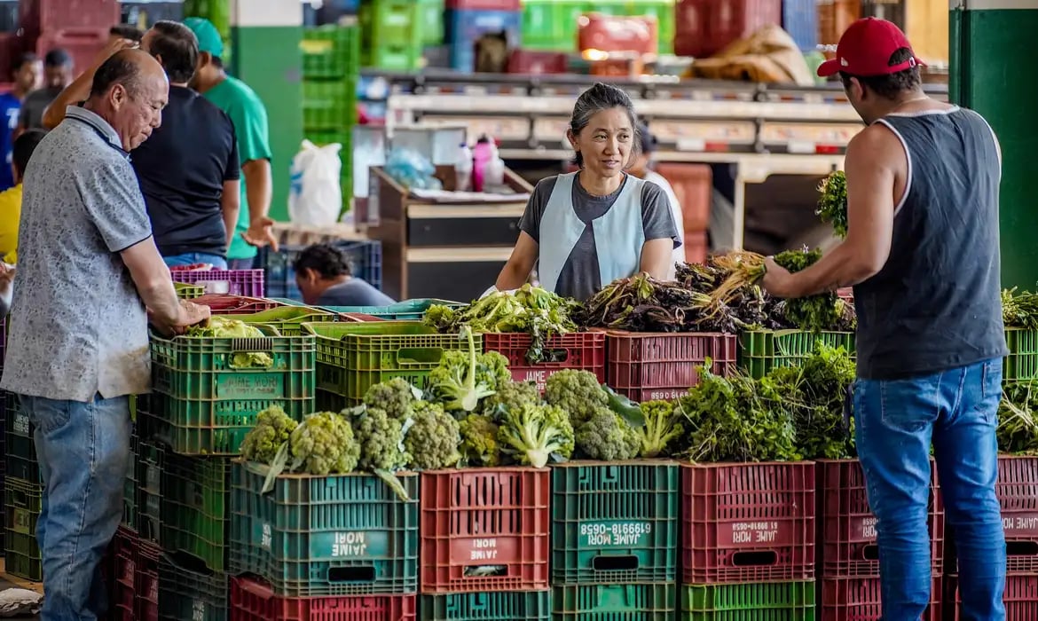 verduras_comida_feira_alimento_32523852