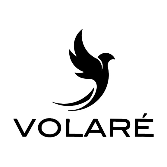 Volare logo