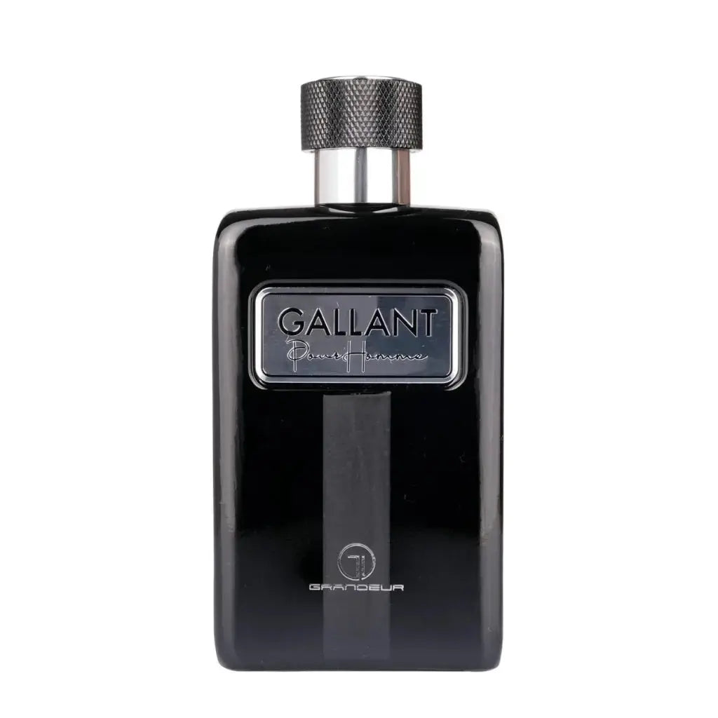 Gallant Perfume Man Edp 100ml For Him Grandeur Elite energy aromatic Him