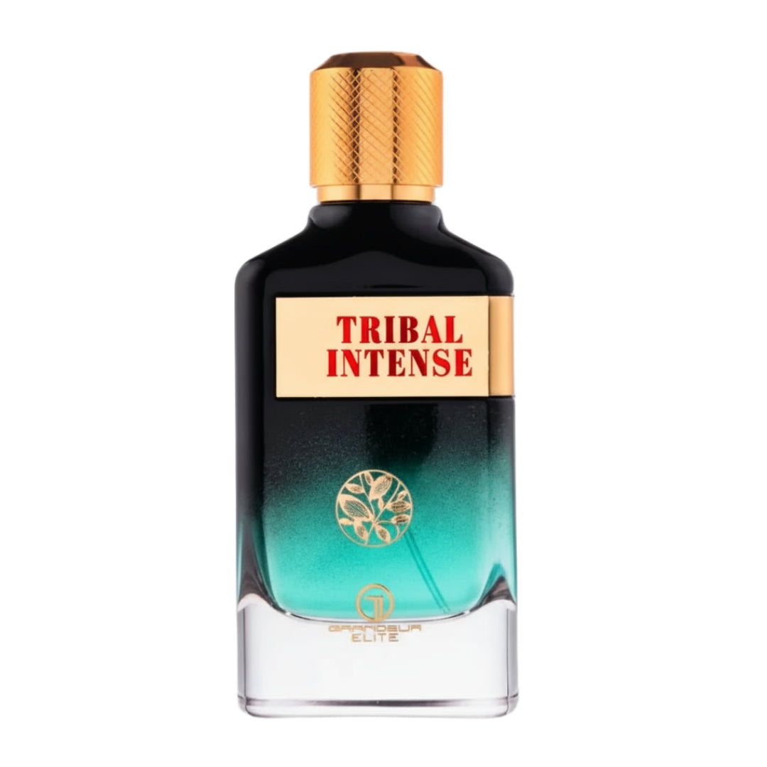 Tribal Intense by Grandeur 100ml EDP Men