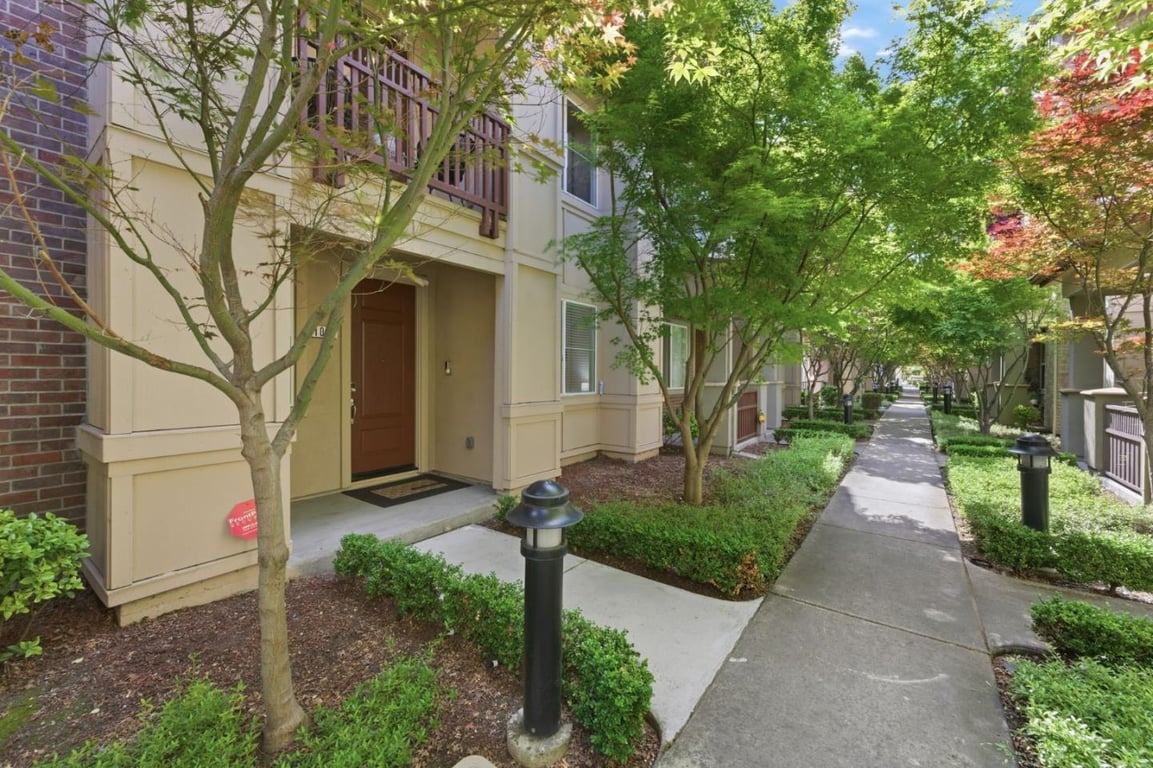 Property view 1