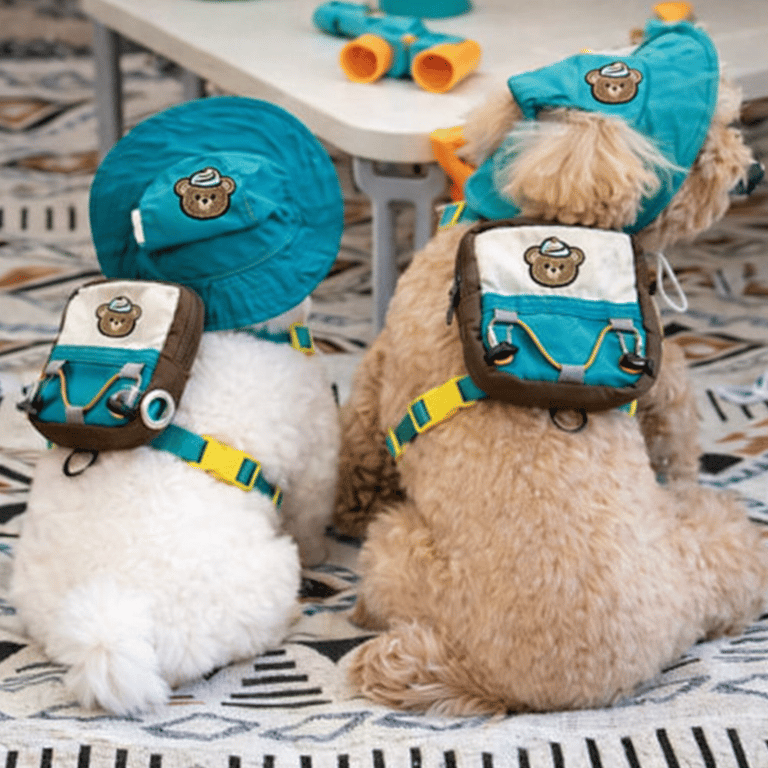 Mochila Pet Com Chapéu  Para Cachorros E Gatos Tamanhos P ao GG