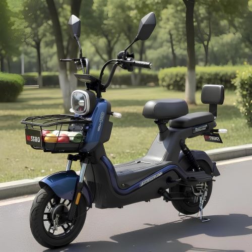 BM1028 Moto Elétrica 1000W Autonomia De 45 á 50km Peso Máximo Suportado De 150kg Bateria De Litio 