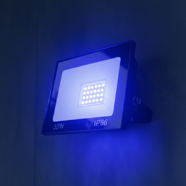 Refletor Externo LED 30W Azul 