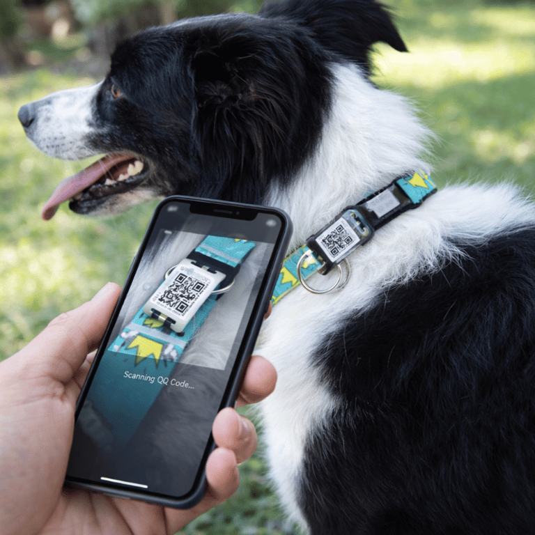 Coleira Para Cachorro Com QRCode Identificação Segurança Pet  