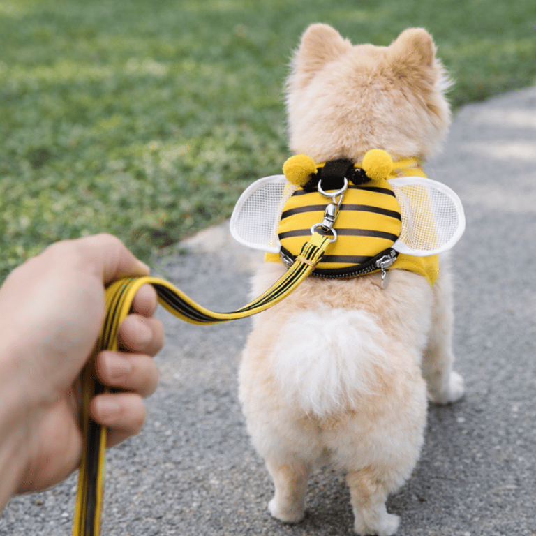 Peitoral Mochila Abelhinha Para Cachorro Pequeno Ajustável Tamanho G e GG