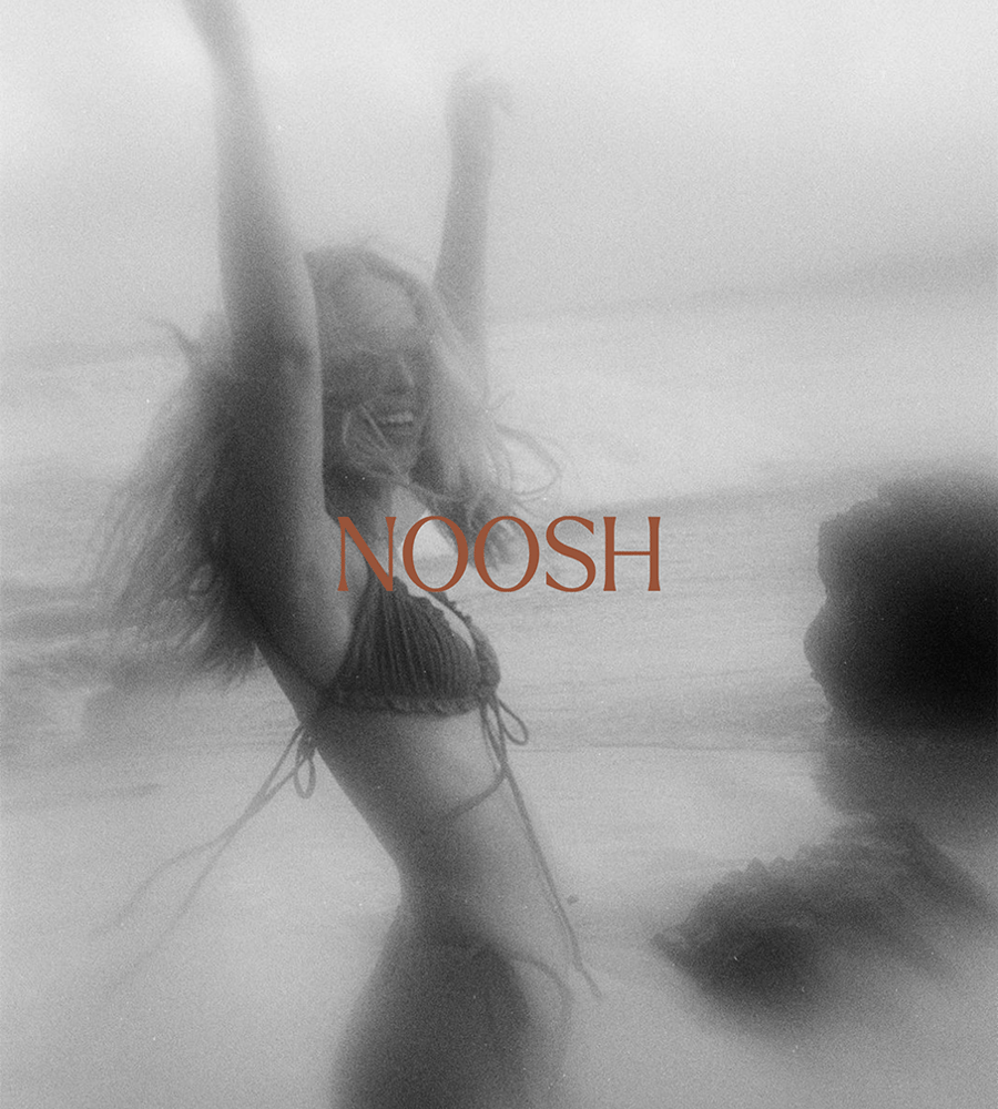 Noosh