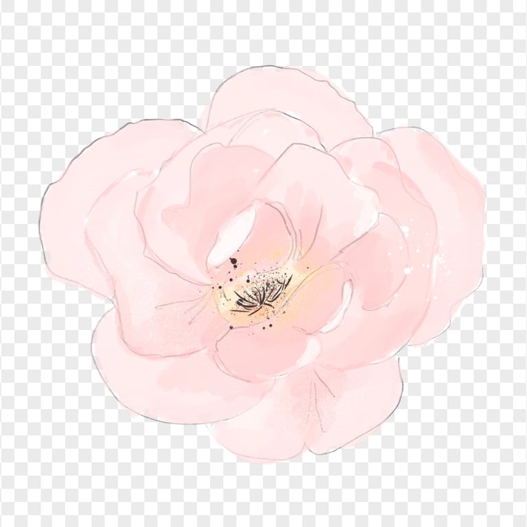 Pink Plum Blossom Watercolor Flower HD PNG