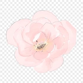 Pink Plum Blossom Watercolor Flower HD PNG