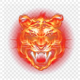 HD Tiger Fire Flame Face PNG