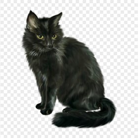 Fluffy Black cat Realistic Drawing HD Transparent Background