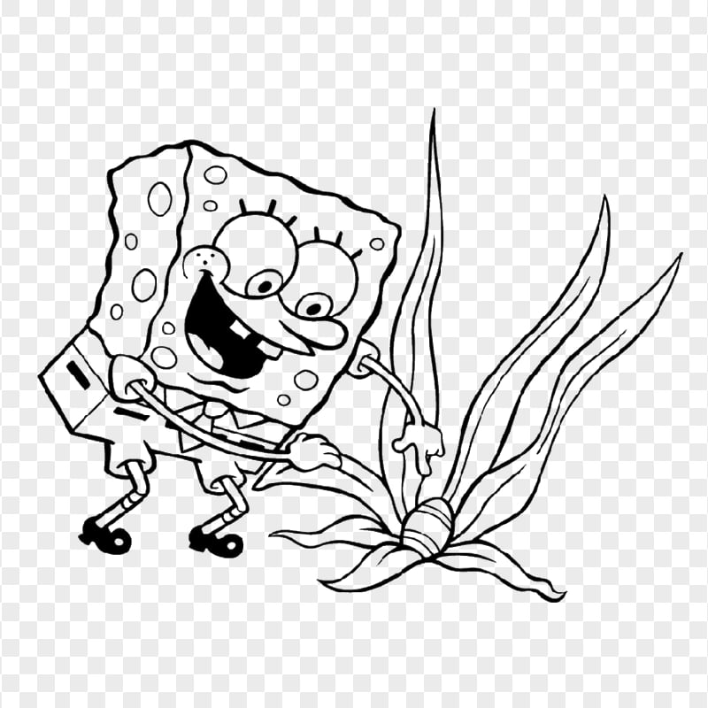 HD Spongebob Outline Character Transparent PNG | Citypng