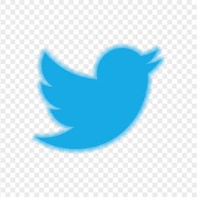 HD Twitter Bird Logo Icon PNG