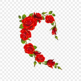 Valentine Love Half Floral Heart Frame PNG
