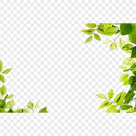 Nature Green Leaves Frame HD PNG