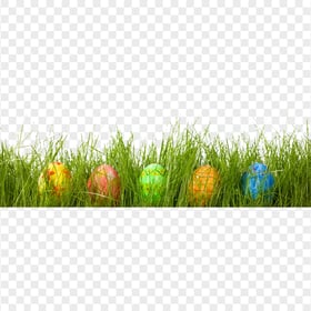 Colorful Easter Eggs in Grass HD Transparent Background