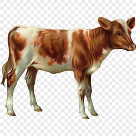 HD Cow Calf Cattle Cartoon Illustration Animal PNG