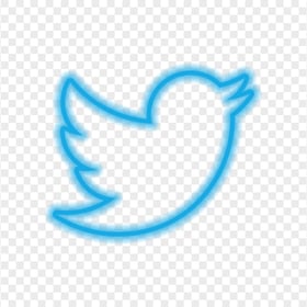 HD Neon Twitter Bird Logo PNG
