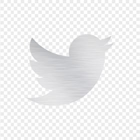 HD Twitter Bird Silver Metal Brushed Logo Icon PNG