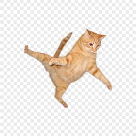 Big Orange Tabby Cat Jumping Transparent Background