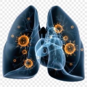 Lungs Lung Coronavirus Covid19 Corona Illustration