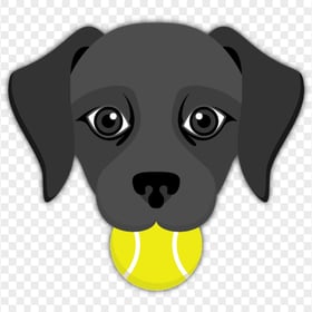 Black Labrador tennis ball mouth