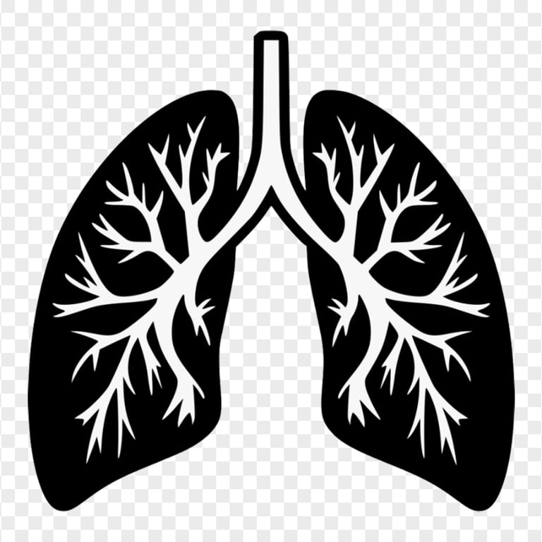 Black Humain Lung Trachea Respiratory Icon Vector